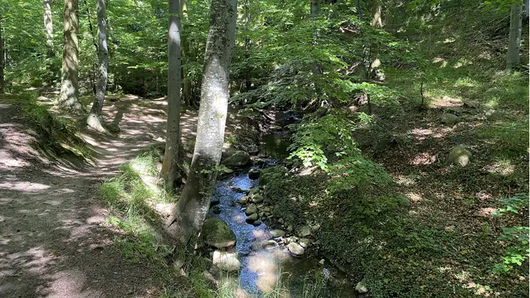 Sti og vandløb ved Mallings Kløft
